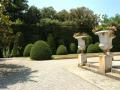 Renesann zahrada - Villa Reale - Marcie
